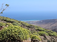 Blick vom höchsten Berg Fuerteventuras