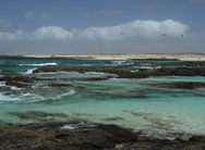 Felsküste von Fuerteventura